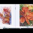aquarellen leren schilderen
