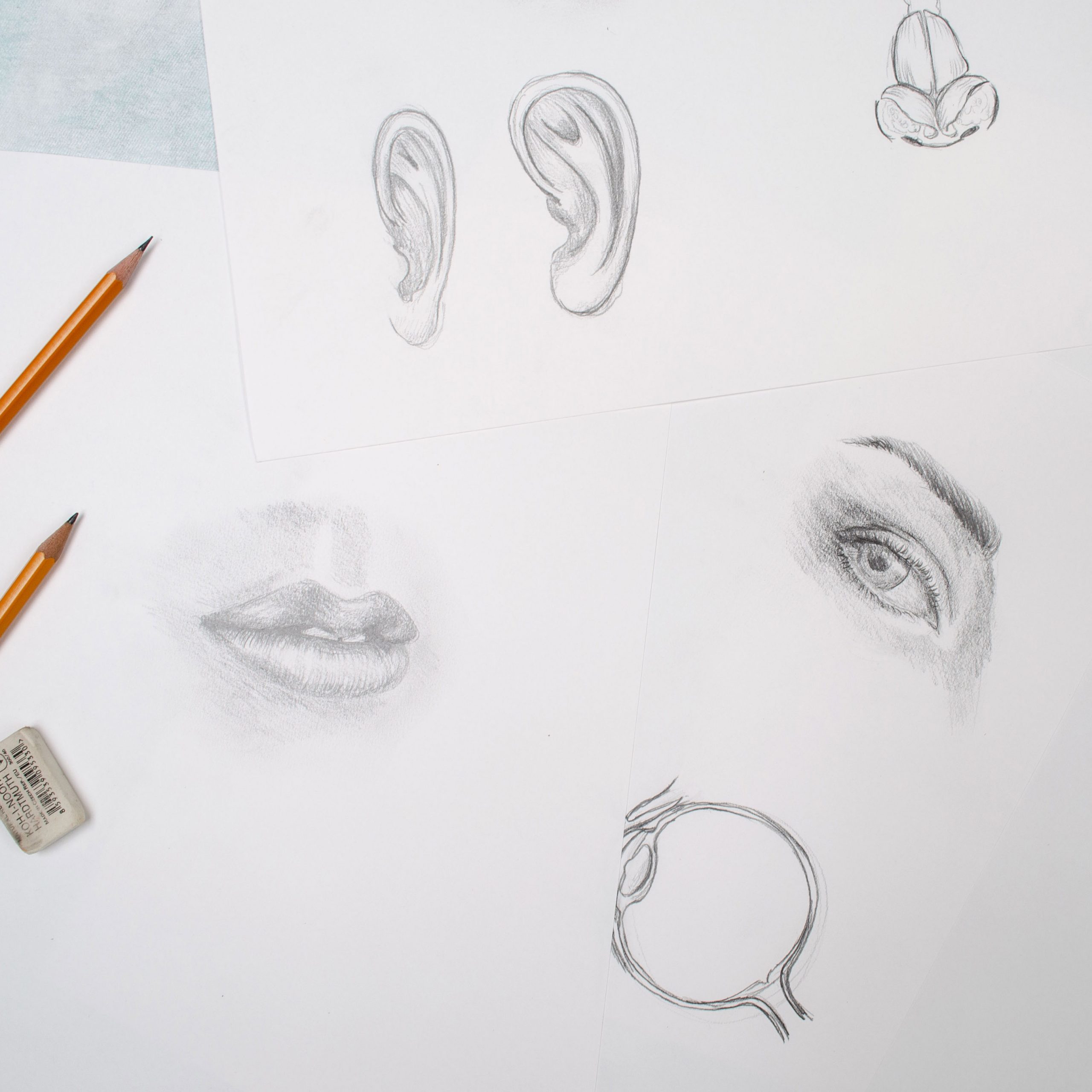 cursus tekenen voor beginners