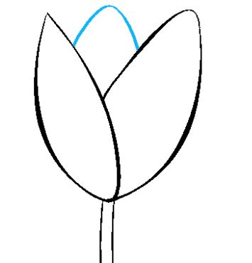 bloem tekenen in stappen