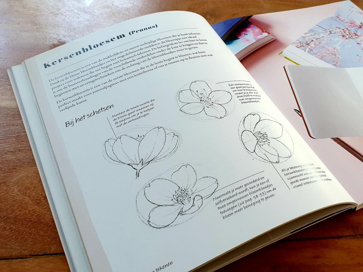 bloemen leren tekenen