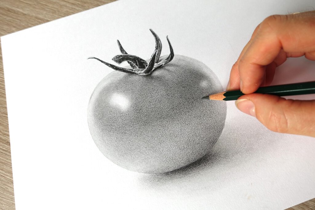 cursus tekenen volwassenen