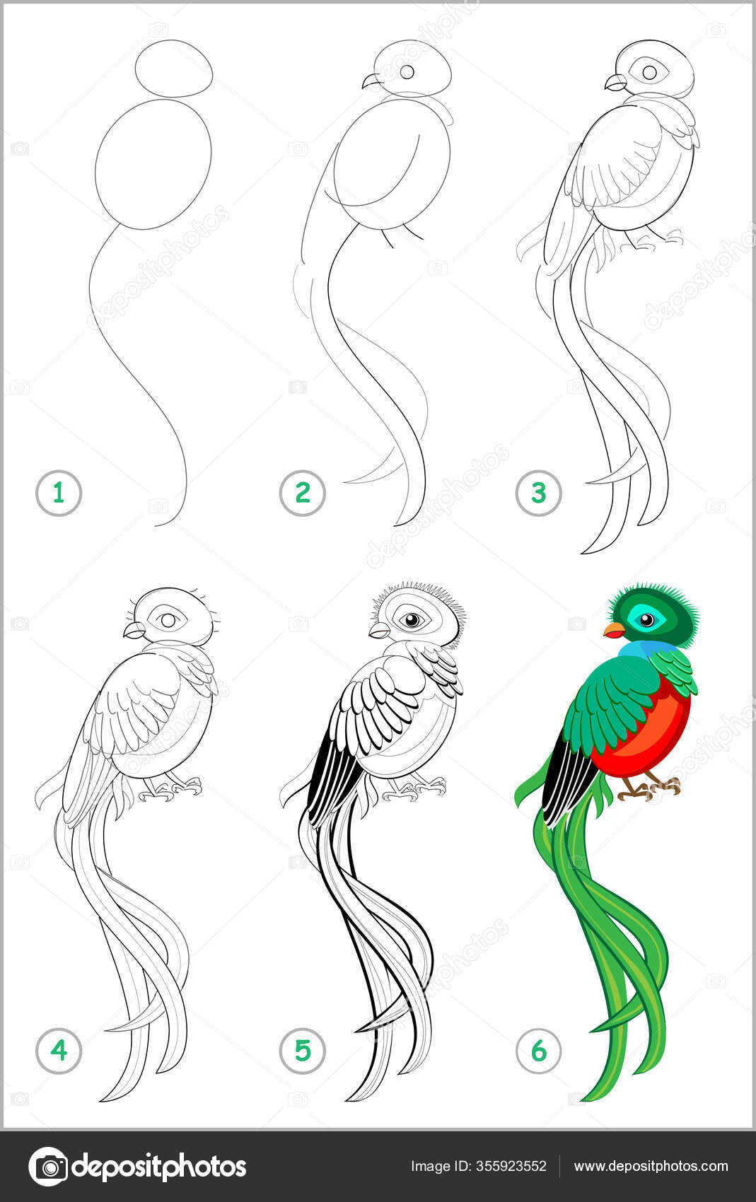 vogel tekenen in stappen