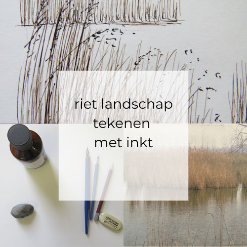 leren tekenen beginners