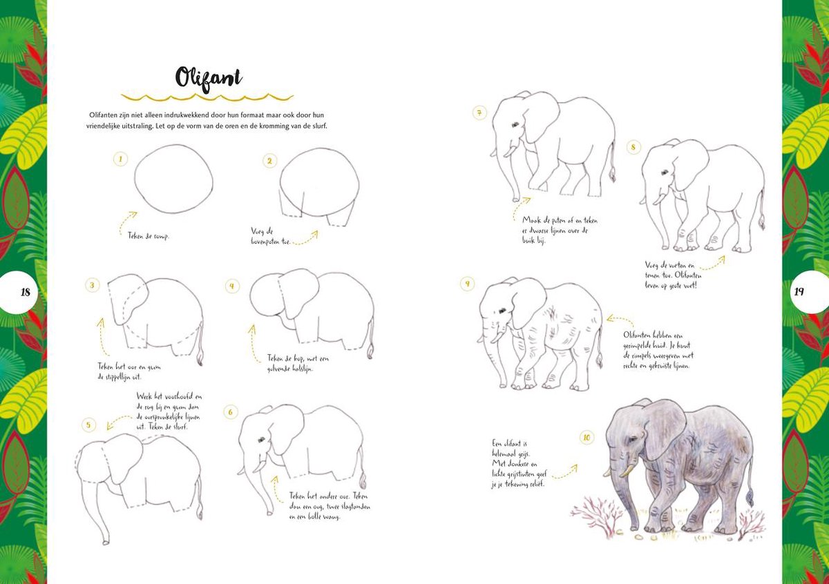 olifant leren tekenen